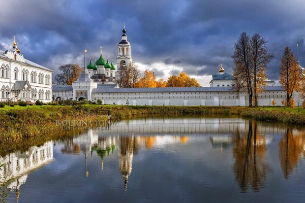 Что можно купить в кракене