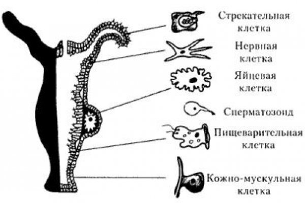 Кракен это наркозависимость