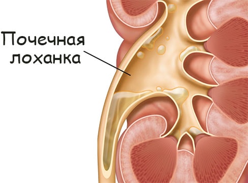 Сайт тор кракен